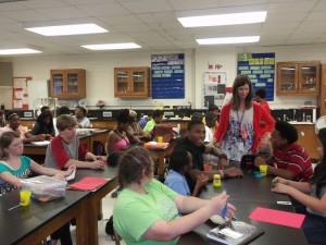 New Teacher Profiles
