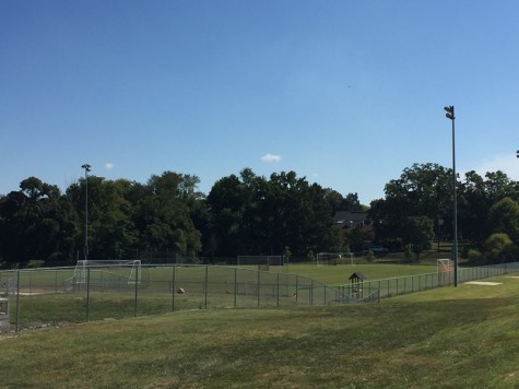 Cone Fields Take on a New Look