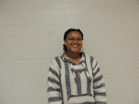 Tamar Greenhill