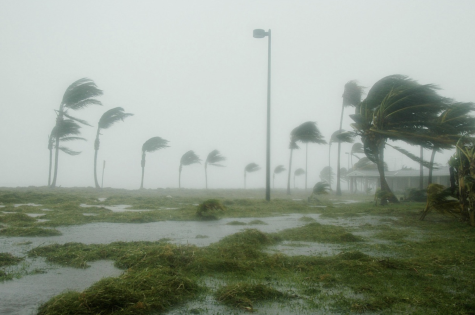 Hurricane Ian, WNBA Success, and Climate Change: Weekly News of 9/26