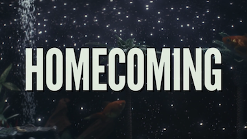 Diving a little Deeper into High School Homecoming