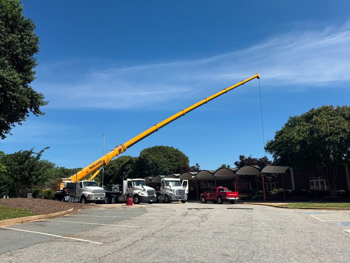 An Insider Scoop on New Page Renovations
