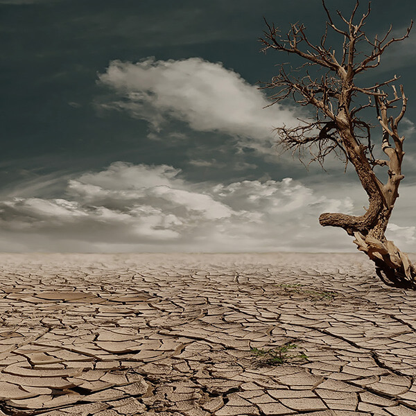 Governments Respond to the Growing Threat of Climate Change