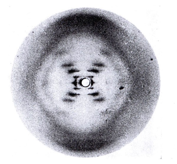 The Discovery of the Double Helix