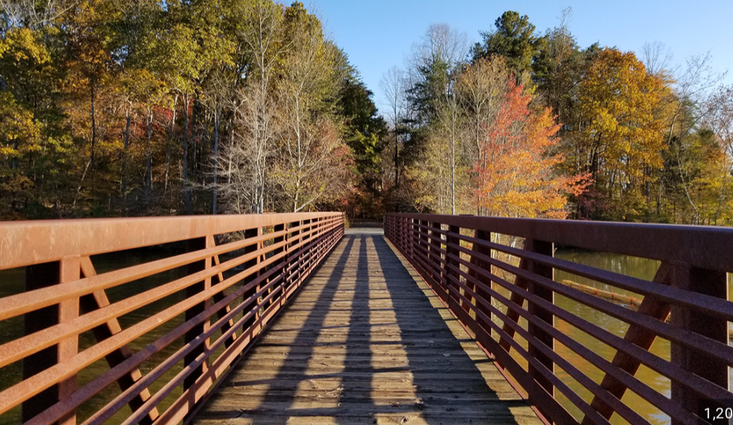 The Wonderful System of Greenways in Greensboro