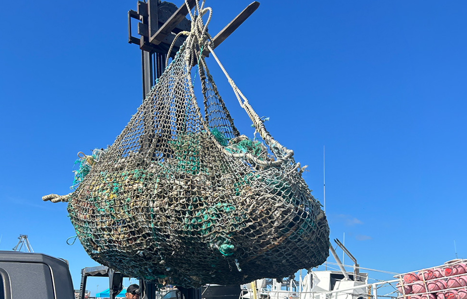The Way that a College has removed over 185,000Ibs of Garbage from the Ocean
