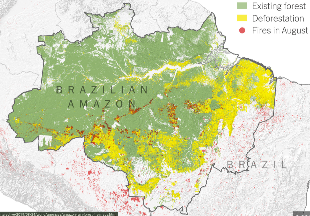 Why the Amazon Needs to be Protected