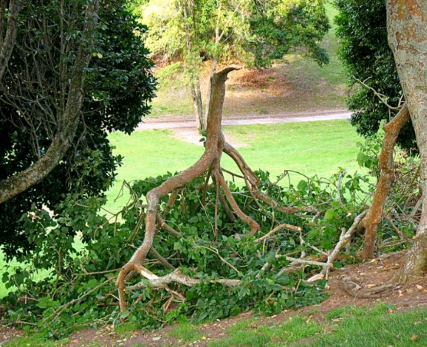 Strong winds caused school closures and schedule adjustments throughout Guilford County.