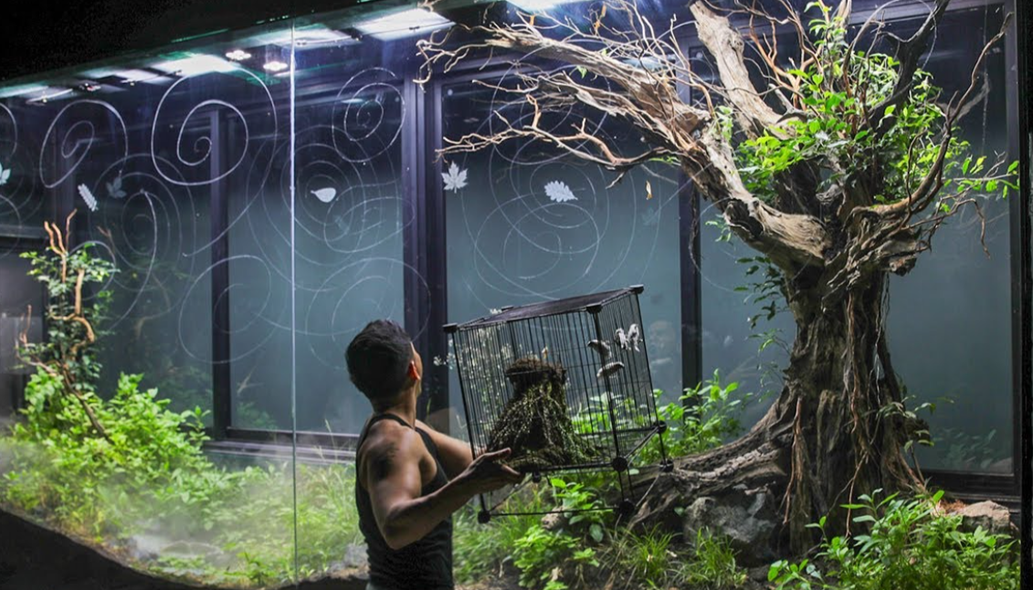 A Biodiverse Ecosystem Within Glass