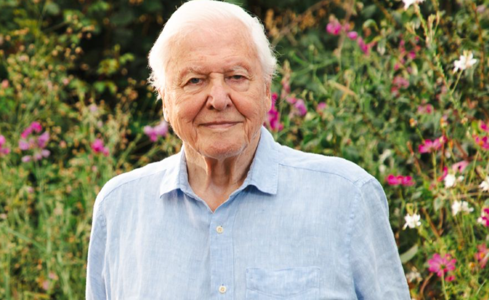 David Attenborough: Nature Documentary Voice